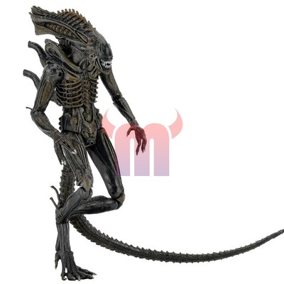 alien isolation xenomorph figure